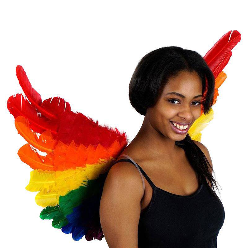 Rainbow Feather Wings 28x18 Inches | Zucker Feather | Coastal Gifts Inc