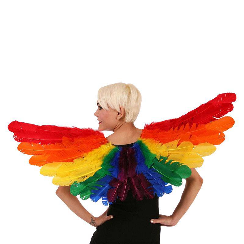 Rainbow Feather Wings 28x18 Inches | Zucker Feather | Coastal Gifts Inc