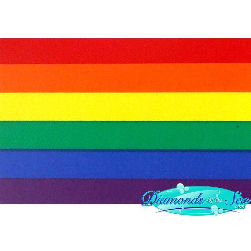 Rainbow Flag Flexible Magnet | PHS International | Coastal Gifts Inc