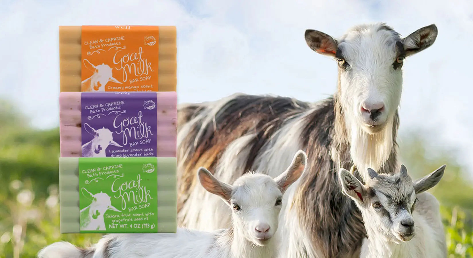 Benefits of ultra-nourishing goat milk soap bar
