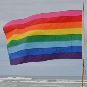 Historic Pride Flag 3 Foot by 5 Foot from In The Breeze