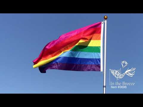 Historic Pride Flag 3 Foot by 5 Foot | In The Breeze | Coastal Gifts