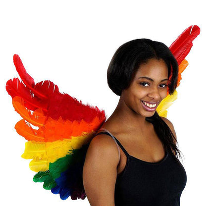 Rainbow Feather Wings 28x18 Inches | Zucker Feather