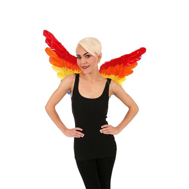 Rainbow Feather Wings 28x18 Inches | Zucker Feather