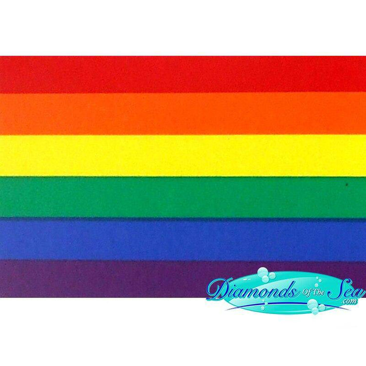 Rainbow Flag Flexible Magnet from PHS International