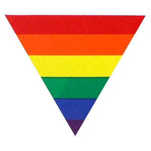 Reflective Rainbow Triangle Flexible Magnet from PHS International